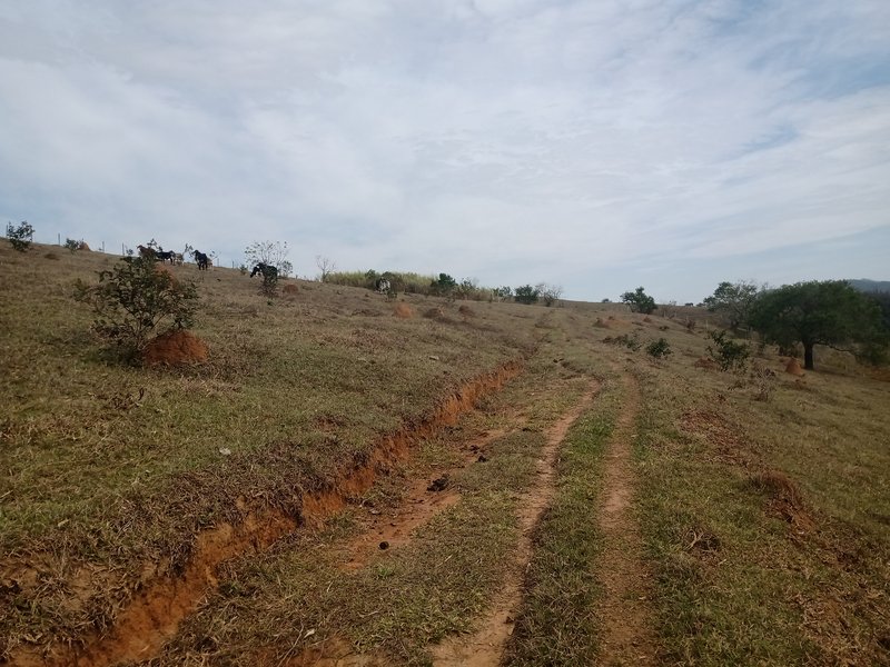 SÍTIO COM 30.7 HECTARES EM JAMBEIRO - JAMBEIRO - 