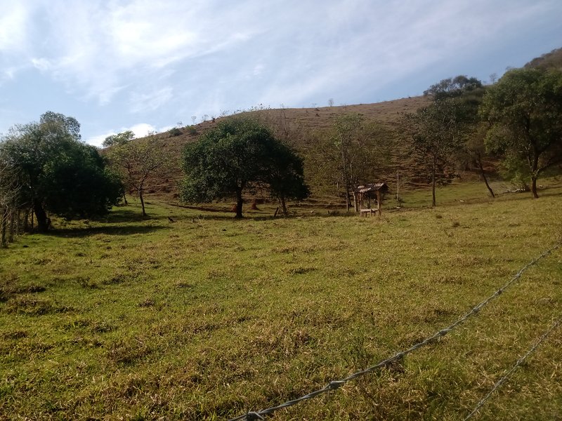 SÍTIO COM 30.7 HECTARES EM JAMBEIRO - JAMBEIRO - 