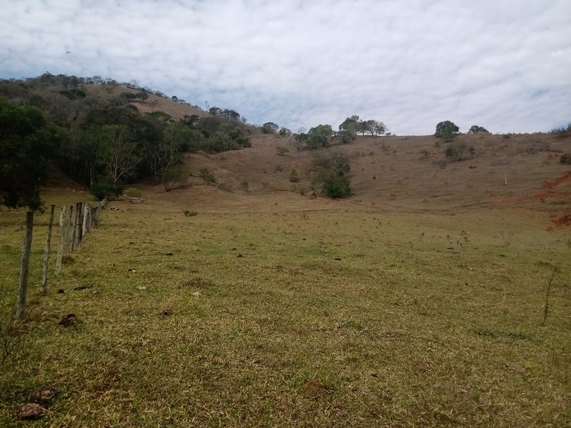SÍTIO COM 30.7 HECTARES EM JAMBEIRO - JAMBEIRO - 