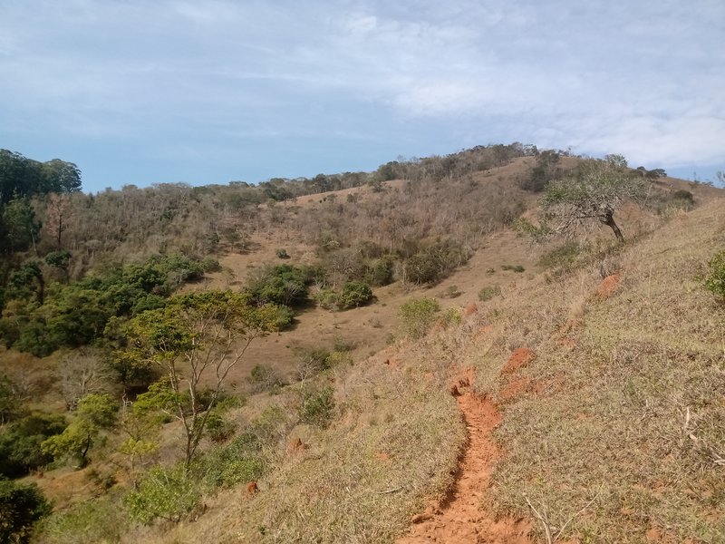 SÍTIO COM 30.7 HECTARES EM JAMBEIRO - JAMBEIRO - 