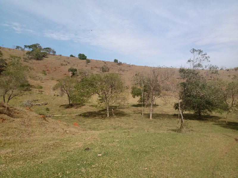 SÍTIO COM 30.7 HECTARES EM JAMBEIRO - JAMBEIRO - 