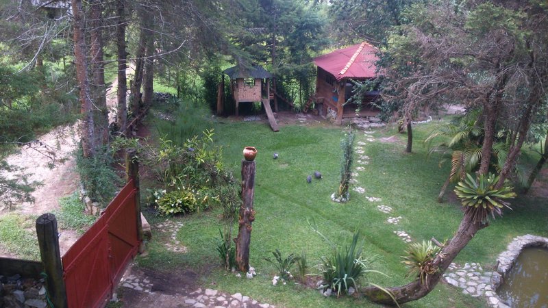 CHÁCARA COM 2.500 METROS EM SANTO ANTONIO DO PINHAL - Santo Antônio do Pinhal - 