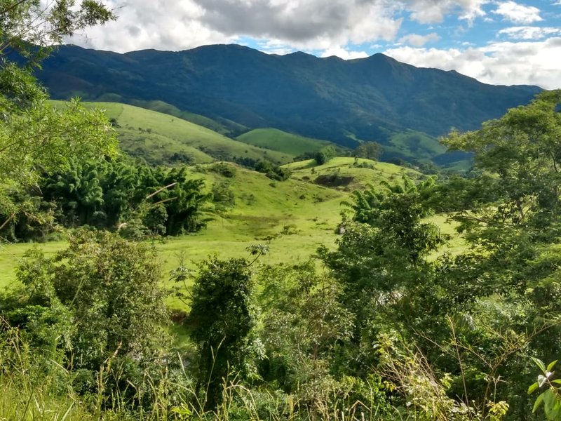 FAZENDA COM 629 ALQUEIRES NA RERGIÃO DE SILVEIRA - SILVEIRAS - 