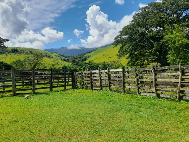 FAZENDA COM 629 ALQUEIRES NA RERGIÃO DE SILVEIRA - SILVEIRAS - 