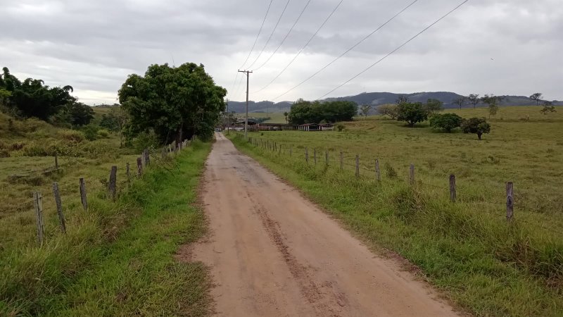 FAZENDA COM 629 ALQUEIRES NA RERGIÃO DE SILVEIRA - SILVEIRAS - 