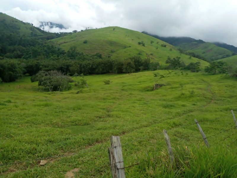 FAZENDA COM 629 ALQUEIRES NA RERGIÃO DE SILVEIRA - SILVEIRAS - 