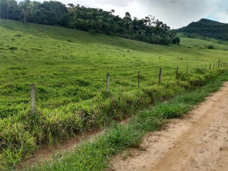 FAZENDA COM 629 ALQUEIRES NA RERGIÃO DE SILVEIRA - SILVEIRAS - 
