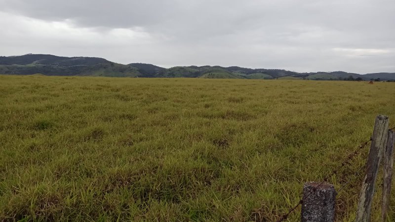 FAZENDA COM 165.29 ALQUEIRES ENTRE SÃO JOSÉ DOS CAMPOS A TAUBATÉ - São José dos Campos - 