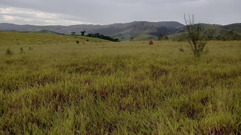 FAZENDA COM 165.29 ALQUEIRES ENTRE SÃO JOSÉ DOS CAMPOS A TAUBATÉ - São José dos Campos - 