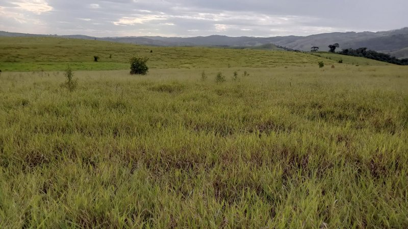 FAZENDA COM 165.29 ALQUEIRES ENTRE SÃO JOSÉ DOS CAMPOS A TAUBATÉ - São José dos Campos - 