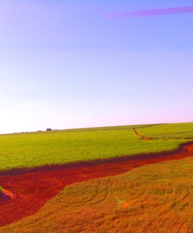 FAZENDA COM 5.816 HECTARES A 170 KM DE ITU - Itu - 