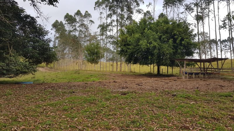 FAZENDA COM 321,8 HECTARES EM APARECIDA, S.P - APARECIDA - 