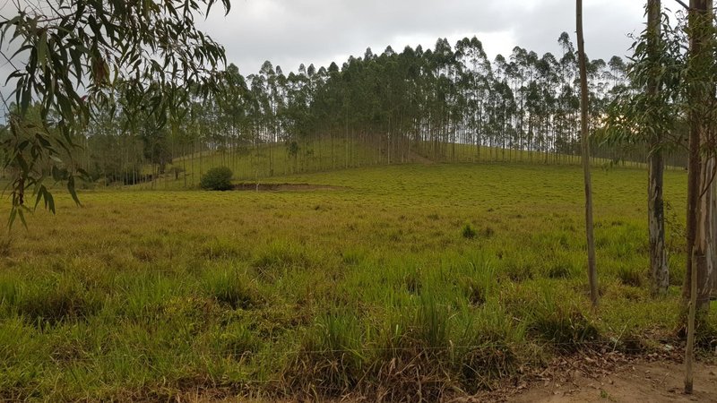 FAZENDA COM 321,8 HECTARES EM APARECIDA, S.P - APARECIDA - 