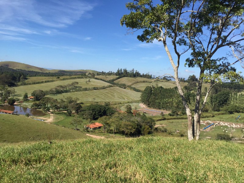 FAZENDA COM 321,8 HECTARES EM APARECIDA, S.P - APARECIDA - 