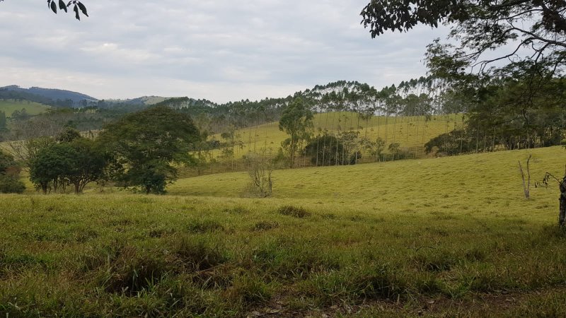 FAZENDA COM 321,8 HECTARES EM APARECIDA, S.P - APARECIDA - 
