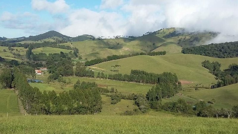 FAZENDA COM 321,8 HECTARES EM APARECIDA, S.P - APARECIDA - 