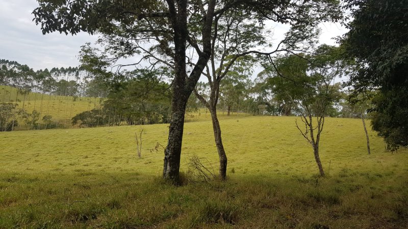FAZENDA COM 321,8 HECTARES EM APARECIDA, S.P - APARECIDA - 