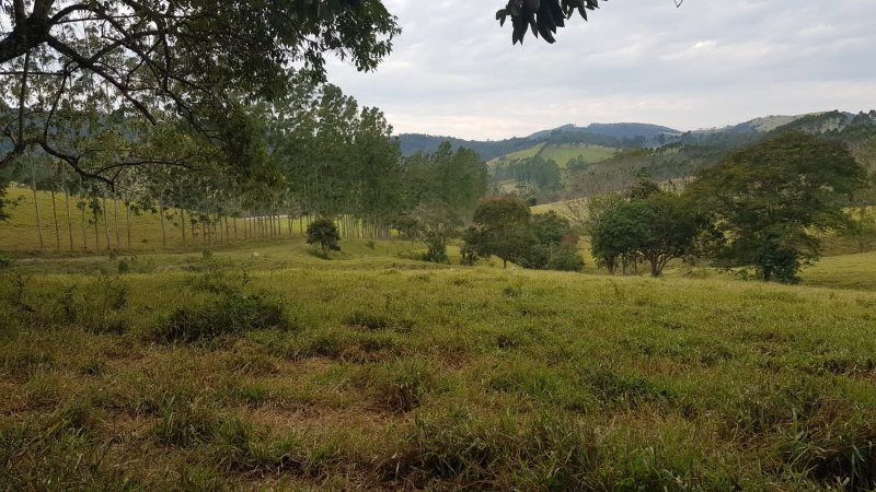 FAZENDA COM 321,8 HECTARES EM APARECIDA, S.P - APARECIDA - 