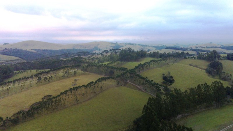 FAZENDA COM 321,8 HECTARES EM APARECIDA, S.P - APARECIDA - 