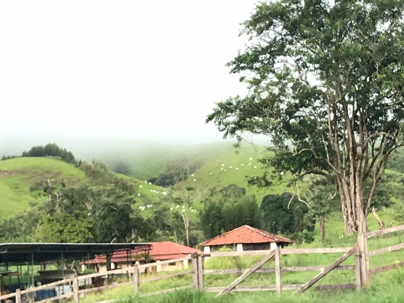 FAZENDA COM 321,8 HECTARES EM APARECIDA, S.P - APARECIDA - 