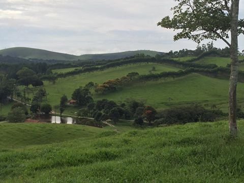 FAZENDA COM 321,8 HECTARES EM APARECIDA, S.P - APARECIDA - 