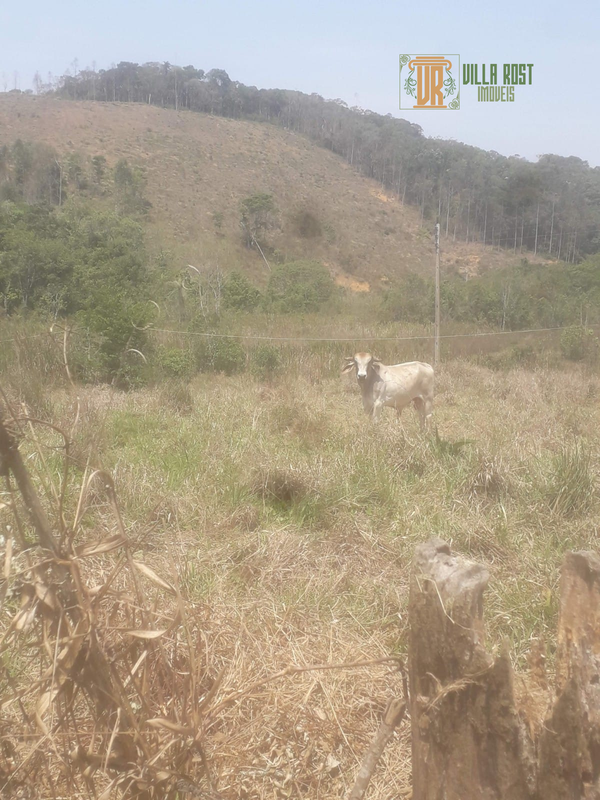 ÁREA RURAL COM 12 HECTARES EM PARAIBUNA, S.P - Paraibuna - 