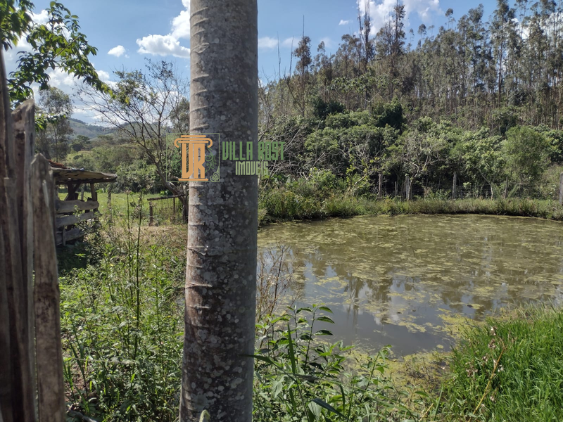 SÍTIO COM 8 HECTARES NA REGIÃO DE CARMO DE MINAS, M.G - CARMO DE MINAS - 