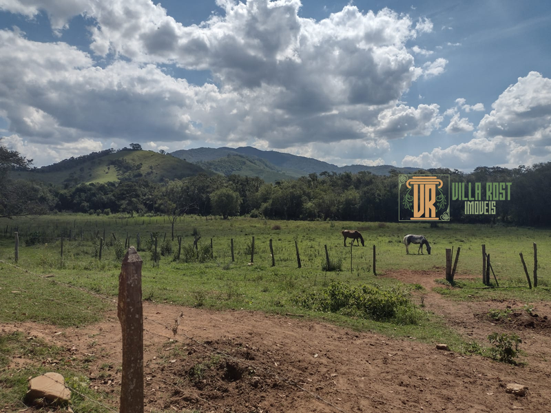 SÍTIO COM 8 HECTARES NA REGIÃO DE CARMO DE MINAS, M.G - CARMO DE MINAS - 
