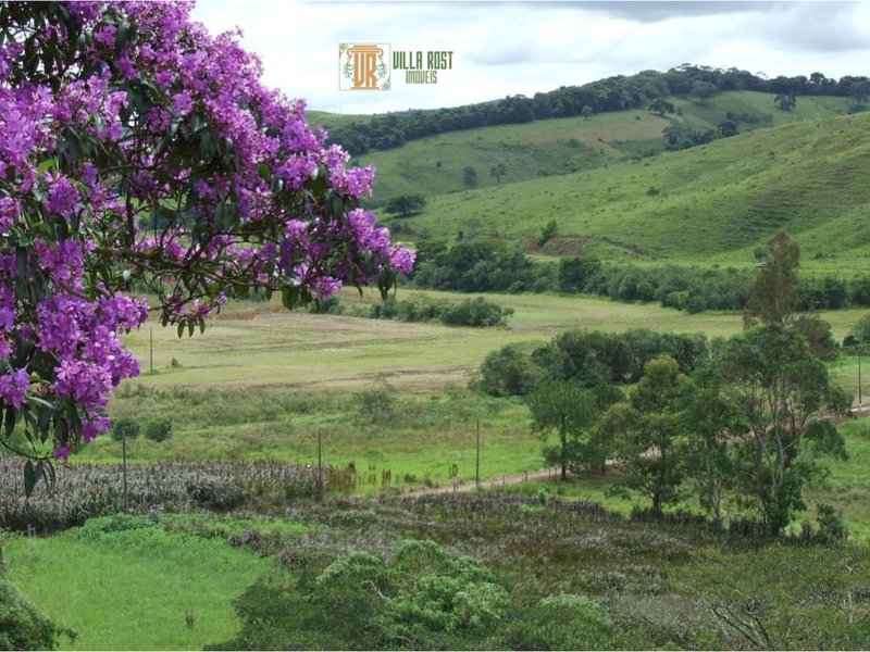 FAZENDA COM 109 HECTARES NA REGIÃO DE SÃO LOURENÇO, M.G - São Lourenço - 