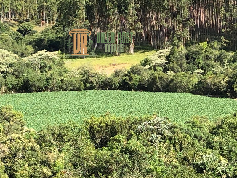 SÍTIO COM 23 HECTARES NA REGIÃO DE CRUZILIA, M.G - CRUZILIA - 