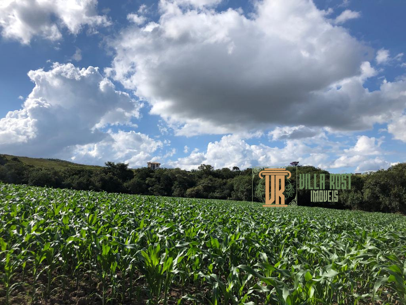 SÍTIO COM 23 HECTARES NA REGIÃO DE CRUZILIA, M.G - CRUZILIA - 