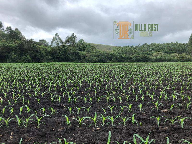 SÍTIO COM 23 HECTARES NA REGIÃO DE CRUZILIA, M.G - CRUZILIA - 