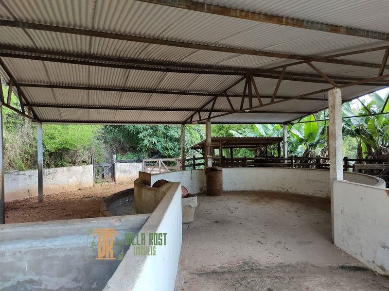 SÍTIO COM 25 HECTARES NA REGIÃO DE CAXAMBU, M.G - CAXAMBU - 