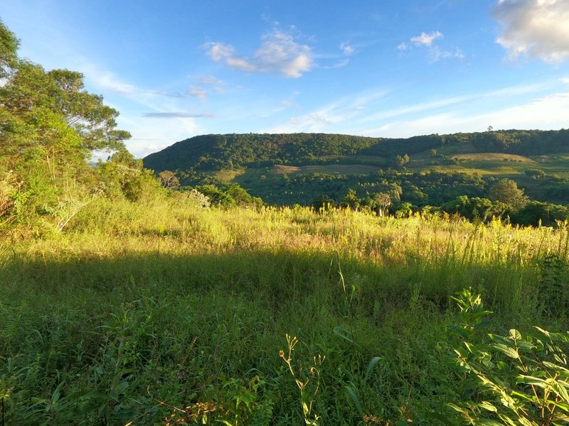 Chácara com 22 hectares de terra, área rural produtiva, nascente de água e muito mais Loreto-2 Légua Caxias do Sul - 
