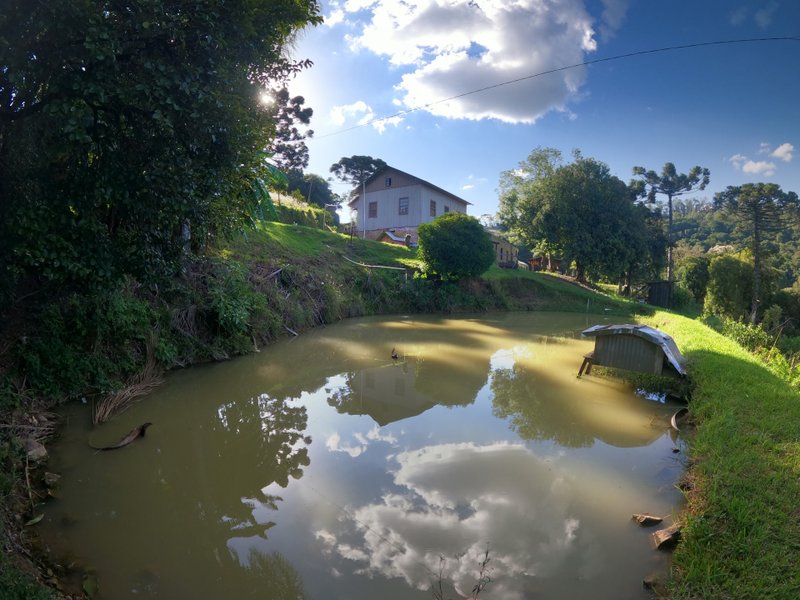Chácara com 22 hectares de terra, área rural produtiva, nascente de água e muito mais Loreto-2 Légua Caxias do Sul - 