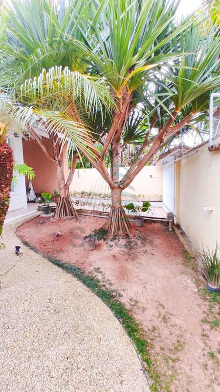 Casa com 3 dormitórios sendo 1 suíte para Venda ou Locação - Enseada - Guarujá/SP - Guarujá - 
