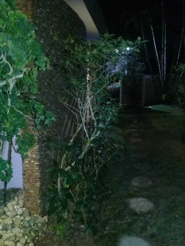 Casa com 3 suítes a venda  e Locação Temporada - Jardim Virginia - Guarujá/SP - Guarujá - 