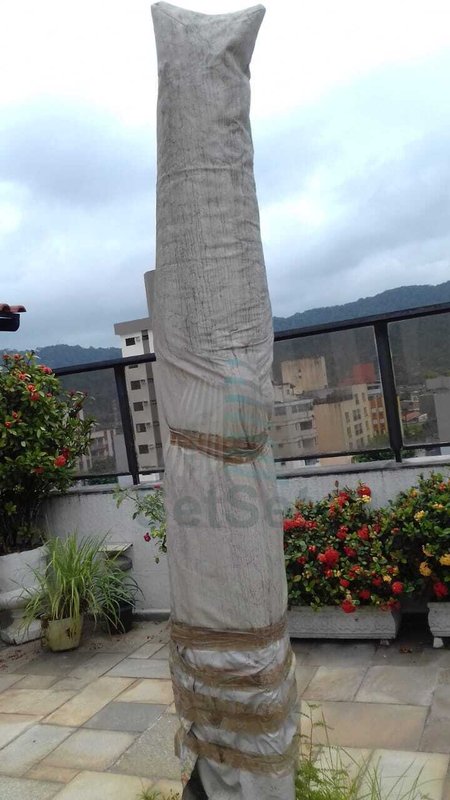 Cobertura a venda com 3 dormitórios sendo 1 suíte  - Enseada - Guarujá/SP - Guarujá - 