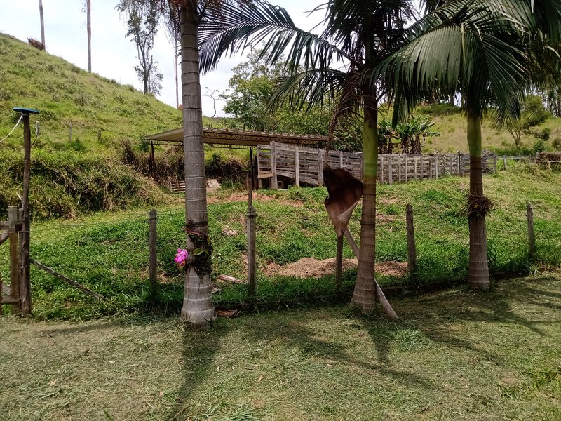  - São José dos Campos - 