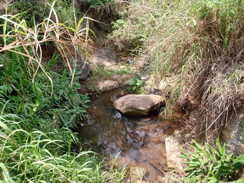  - São José dos Campos - 