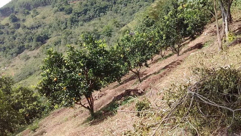 CHÁCARA COM 21.000 METROS EM MONTEIRO LOBATO, S.P - MONTEIRO LOBATO - 