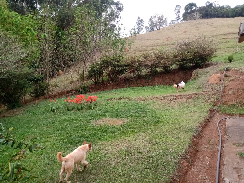 SÍTIO COM 12 ALQUEIRES EM PARAIBUNA, S.P - Paraibuna - 