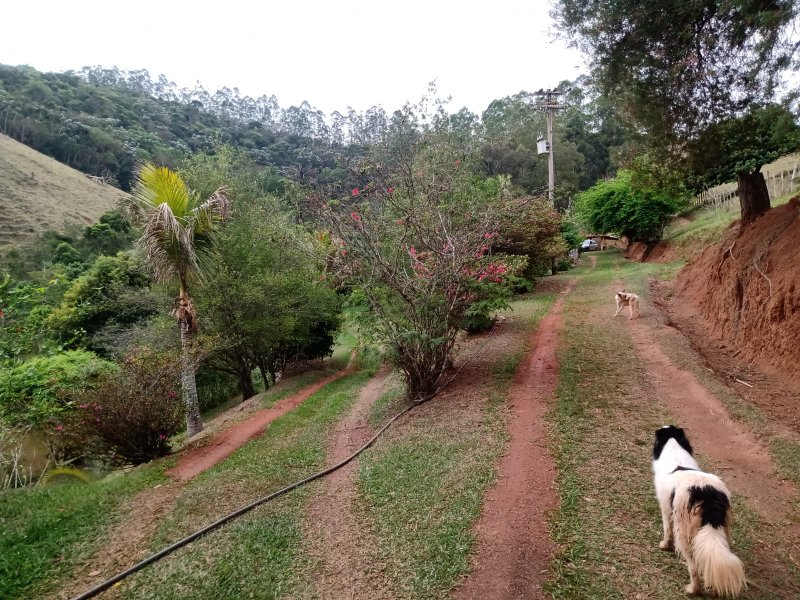 SÍTIO COM 12 ALQUEIRES EM PARAIBUNA, S.P - Paraibuna - 