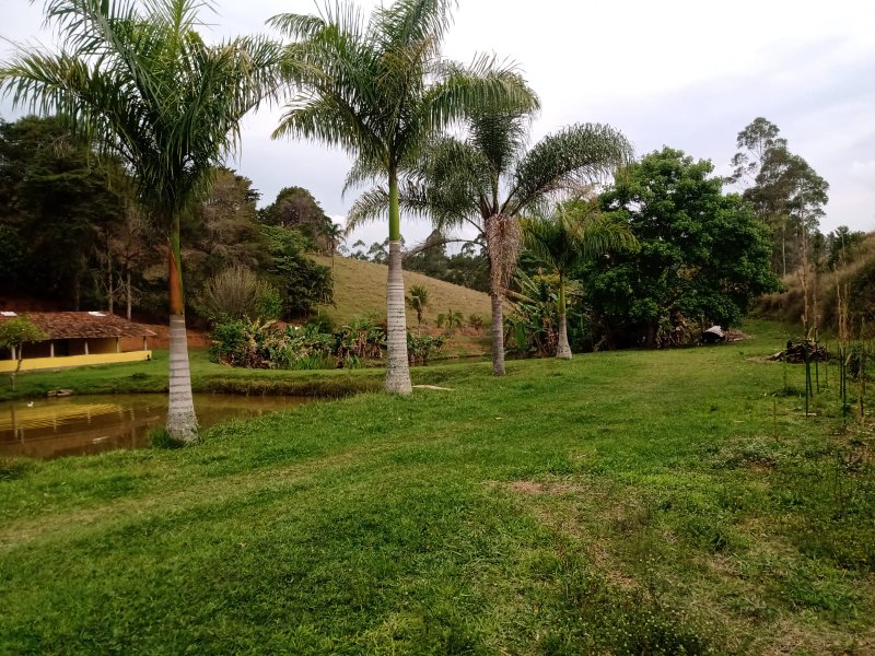 SÍTIO COM 12 ALQUEIRES EM PARAIBUNA, S.P - Paraibuna - 