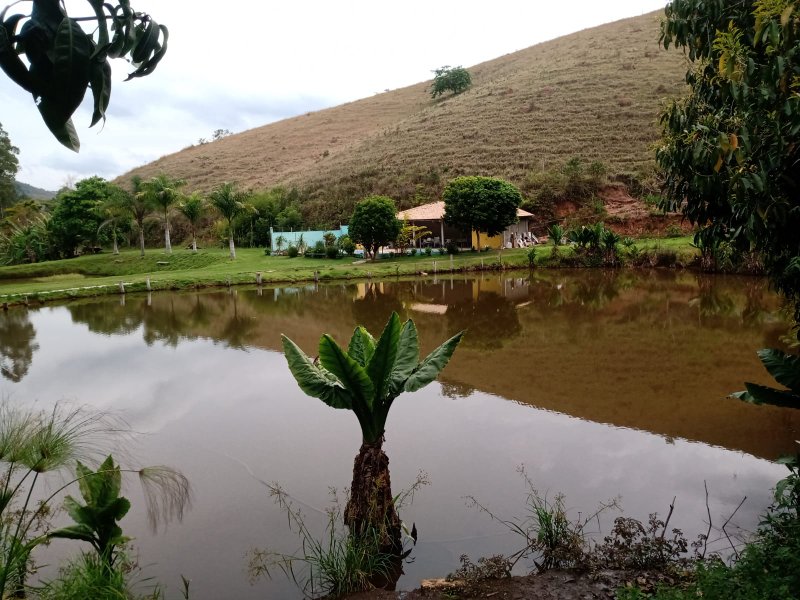 SÍTIO COM 12 ALQUEIRES EM PARAIBUNA, S.P - Paraibuna - 