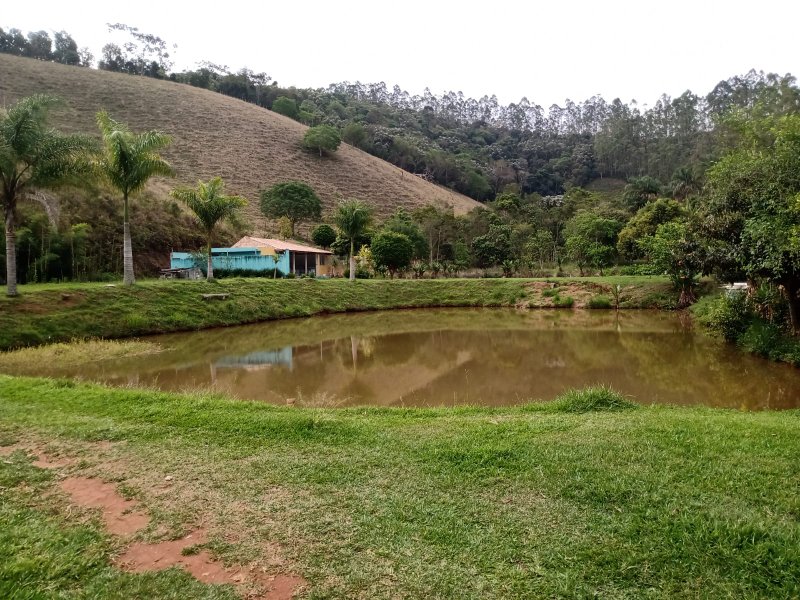 SÍTIO COM 12 ALQUEIRES EM PARAIBUNA, S.P - Paraibuna - 