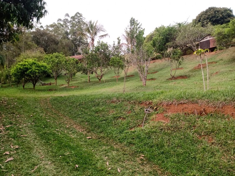SÍTIO COM 12 ALQUEIRES EM PARAIBUNA, S.P - Paraibuna - 
