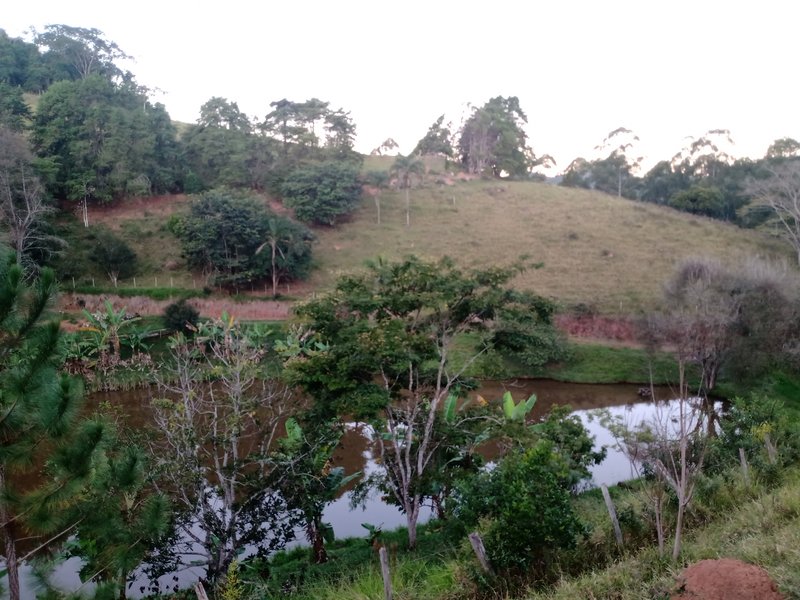 SÍTIO COM 12 ALQUEIRES EM PARAIBUNA, S.P - Paraibuna - 