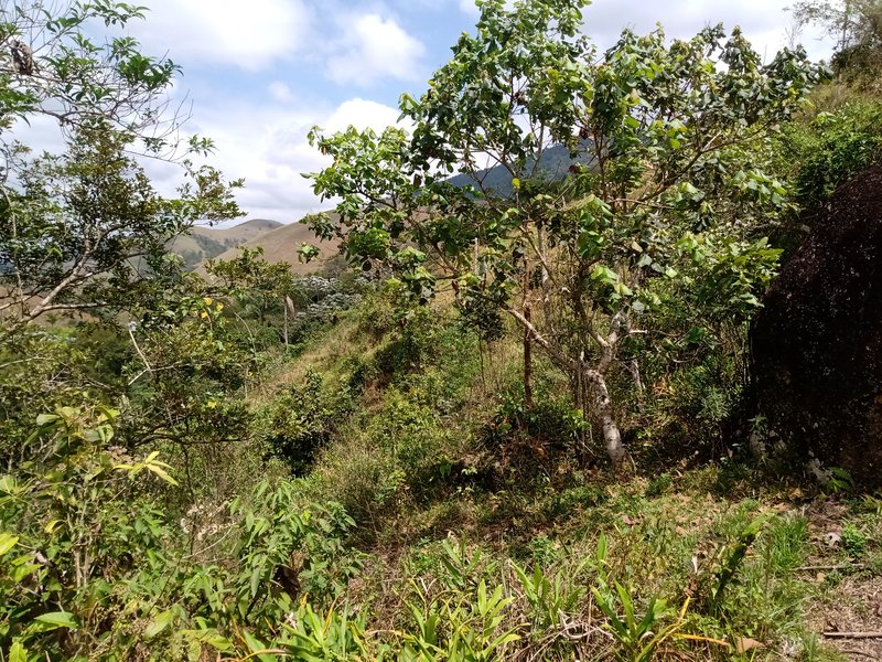 ÁREA RURAL COM 30.000 METROS EM SÃO FRANCISCO XAVIER - SAO FRANCISCO - 