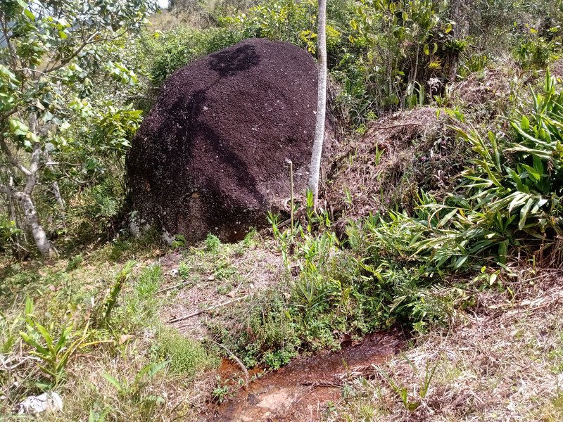 ÁREA RURAL COM 30.000 METROS EM SÃO FRANCISCO XAVIER - SAO FRANCISCO - 
